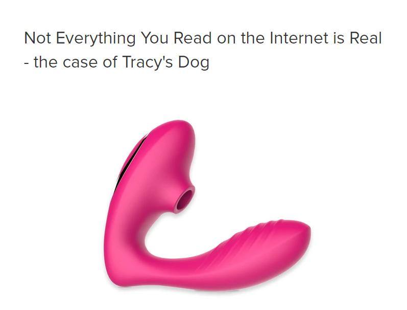 Hey TheTravelingTickleTrunk, here is what we would like to say - Tracy's Dog