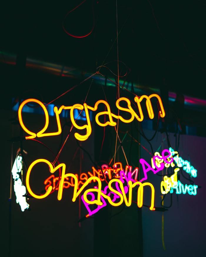 6 Tips to Increase Orgasmics Possiblities - Tracy's Dog
