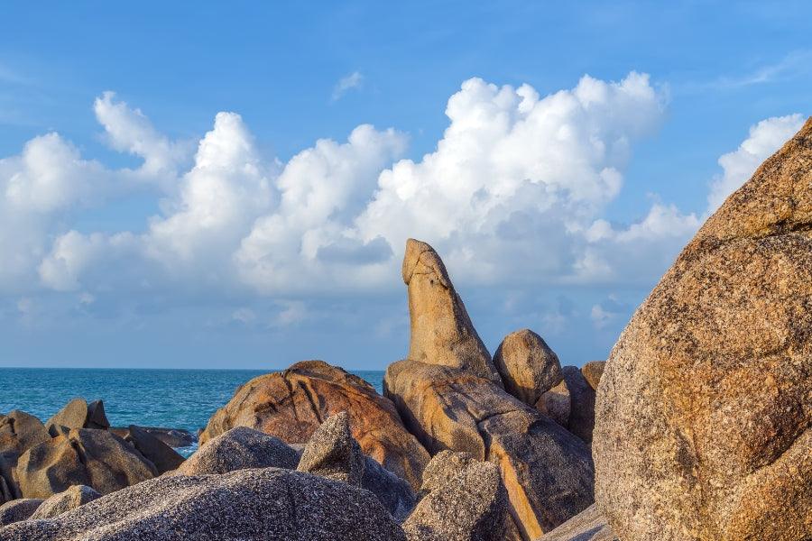 History of Sex Toys | The Evolution of Pleasure - Tracy's Dog