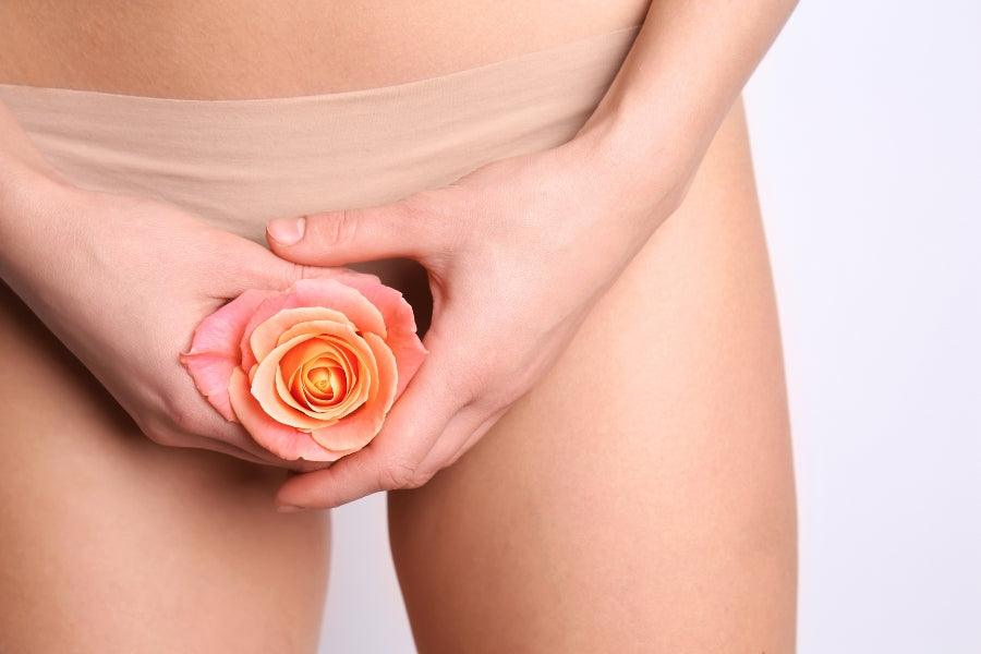 Vulva vs Vagina | What’s the Difference? - Tracy's Dog