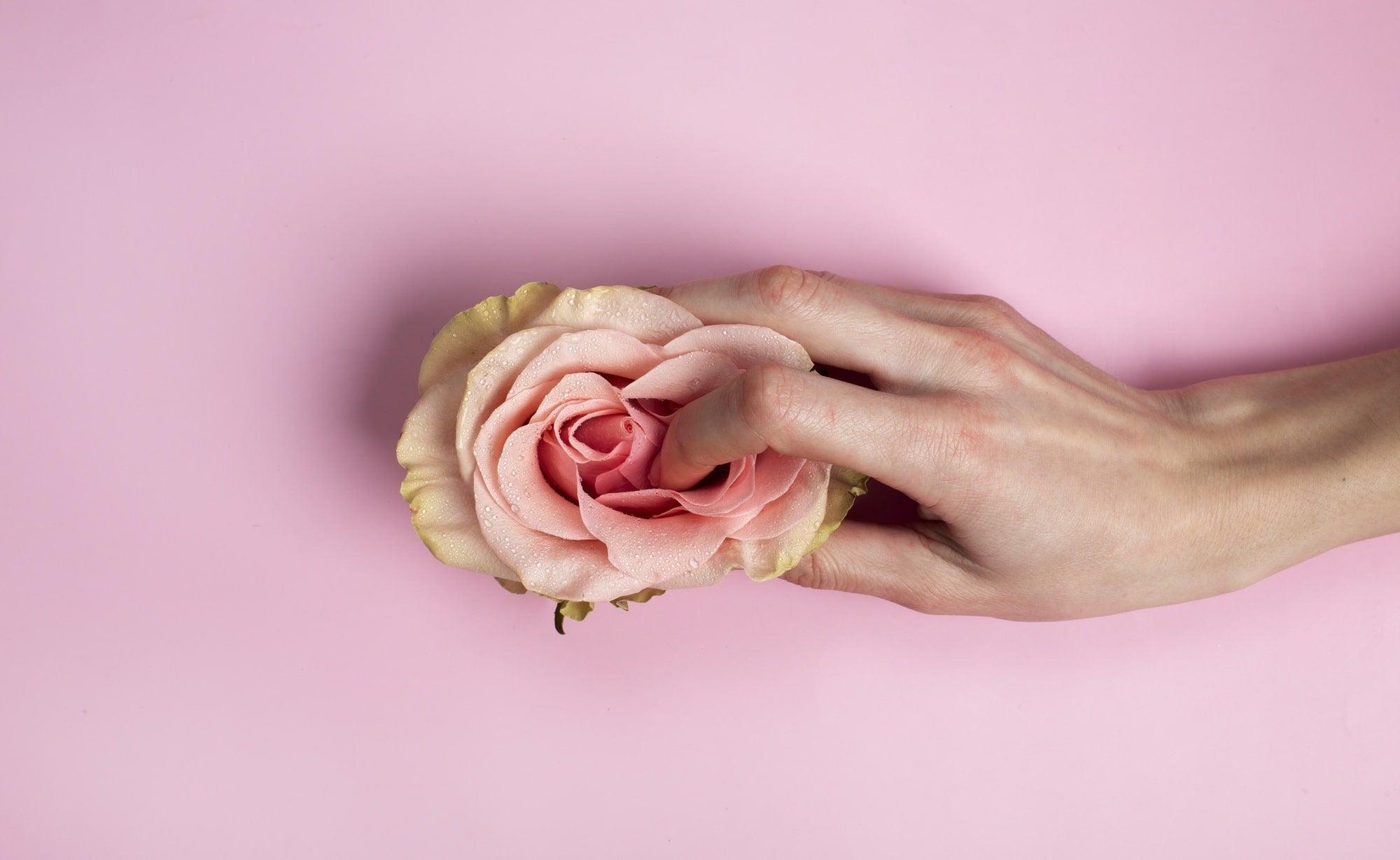 Best Clit Vibrators in 2024 | Tracy’s Dog - Tracy's Dog