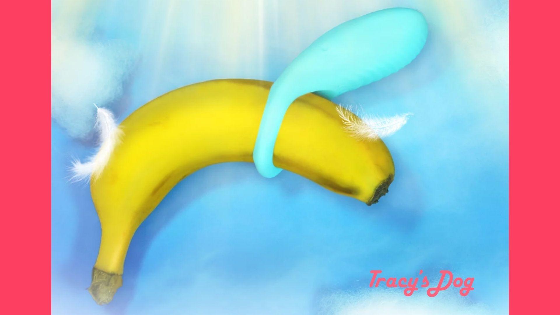 Homemade Cock Ring | DIY Cock Ring Guide - Tracy's Dog