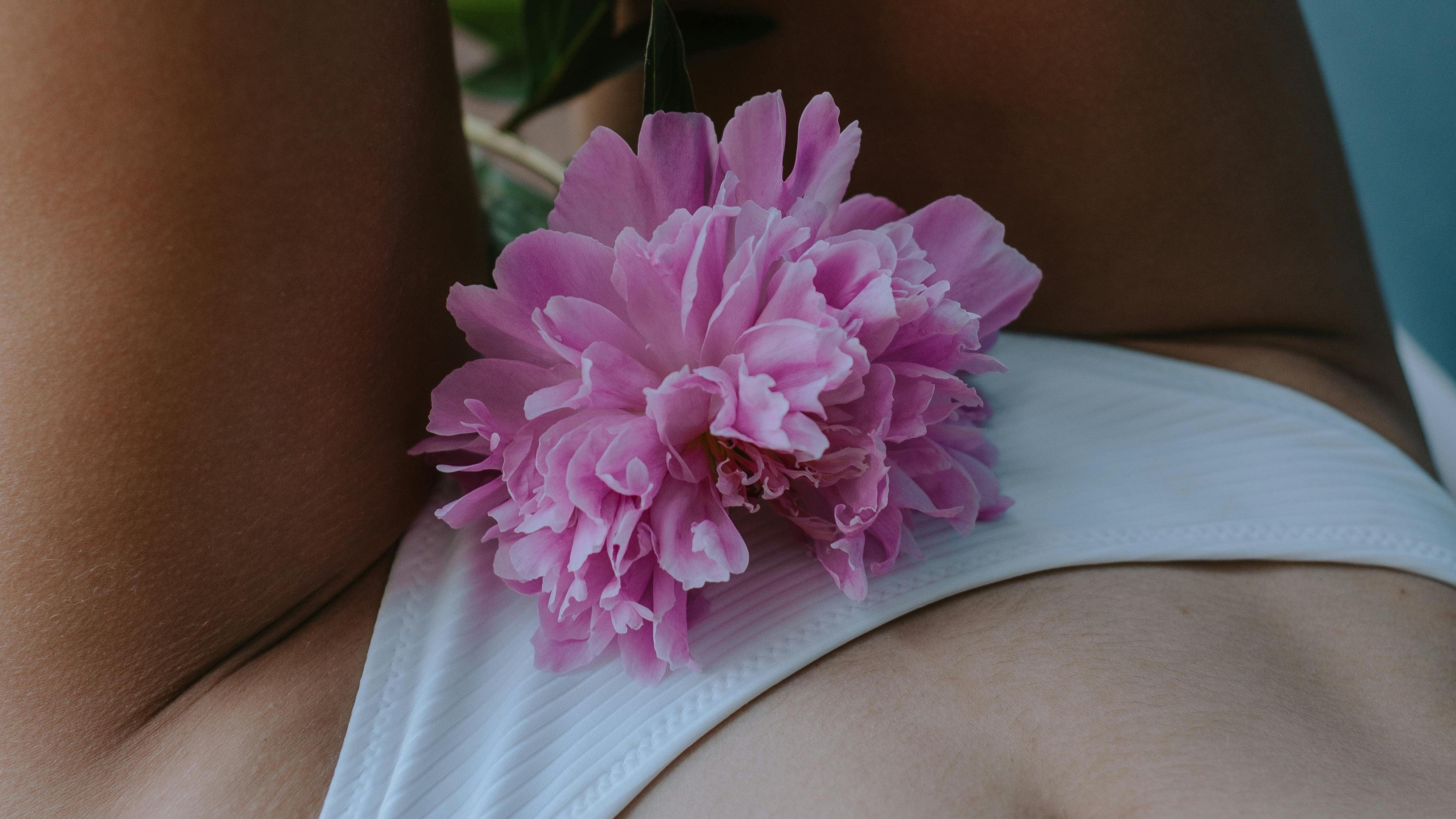 Best Panty Vibrators: Top 3 Picks for Discreet Thrills - Tracy's Dog