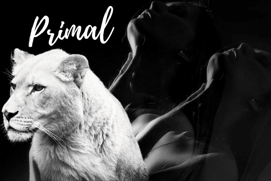What Is a Primal Kink? | A Full Guide for Intense Moments - Tracy's Dog