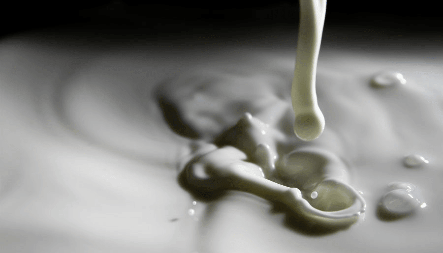 White Stuff on Clit | What is Smegma and Beyond - Tracy's Dog